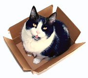 � lenne a megment�?